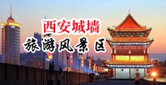 日本操逼大骚逼里面中国陕西-西安城墙旅游风景区